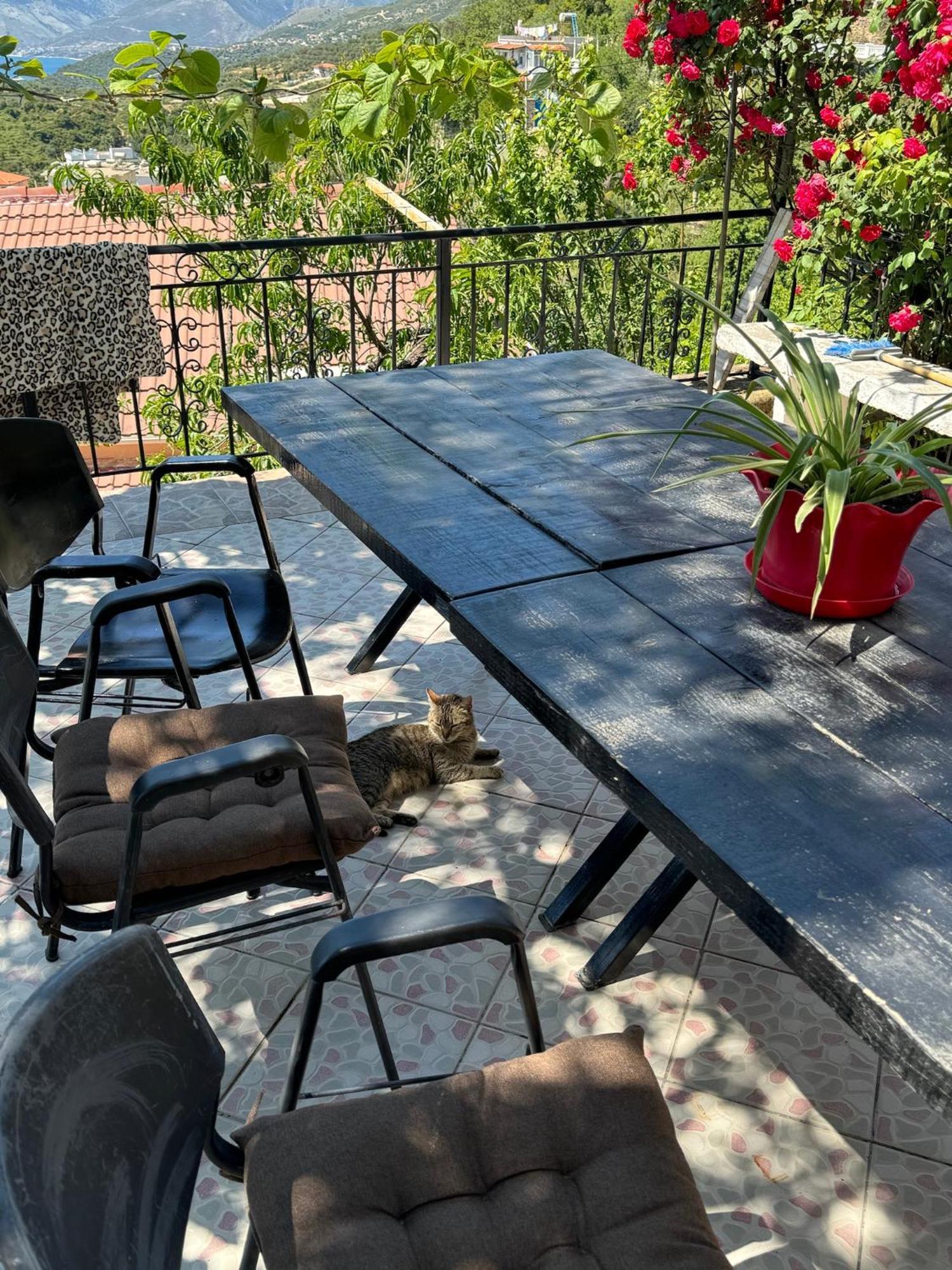 Lida'S House Otel Lukovë Dış mekan fotoğraf